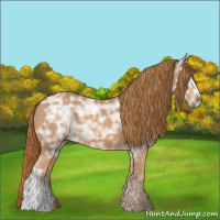 Horse Color:Chestnut Ice 