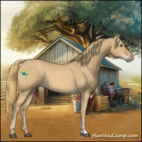 Horse Color:Red Dun 