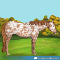 Horse Color:Chestnut Ice 