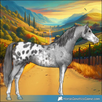 Horse Color:Brown Sabino Appaloosa 