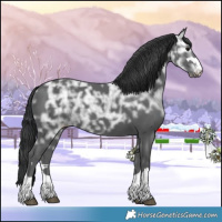 Horse Color:Black Ice 