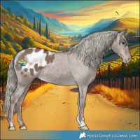 Horse Color:Liver Red Dun Mushroom Appaloosa 