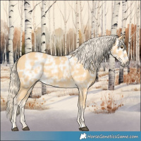 Horse Color:Palomino Ice