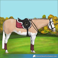 Horse Color:Silver Classic Champagne Splash