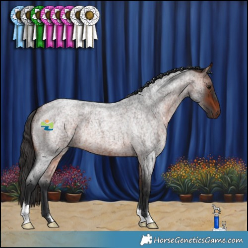 Horse Color:Bay Roan 
