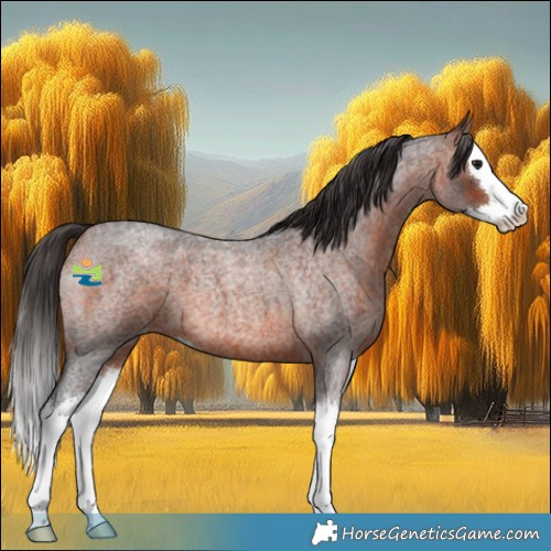 Horse Color:Bay Roan Splash 