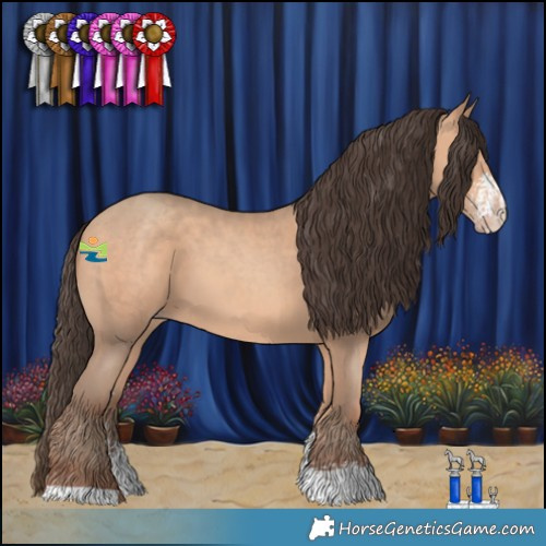 Horse Color:Amber Champagne Sabino 