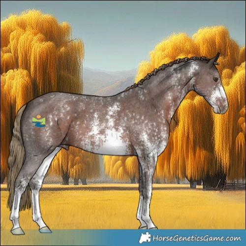 Horse Color:Liver Chestnut Sabino 