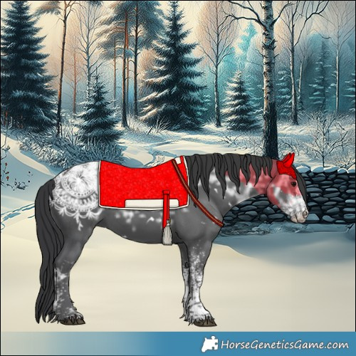 Horse Color:White Spotted Black Ice 