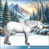 Horse Color:Gray Black Ice
