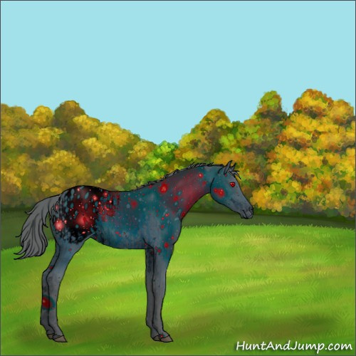 Horse Color:ERROR: UNKNOWN ANOMALY and ERROR: UNKNOWN ANOMALY