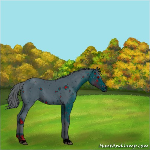 Horse Color:ERROR: UNKNOWN ANOMALY