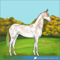 Horse Color:Painted Red Ice Roan Splash Tobiano 