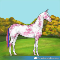 Horse Color:Painted White Spotted Silver Classic Champagne Dun Splash Frame 