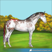 Horse Color:Painted White Spotted Brown Ice Splash 