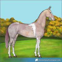 Horse Color:Watercolor Red Dun Ice Splash Tobiano 