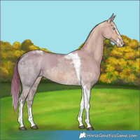 Horse Color:Watercolor Red Dun Ice Splash Tobiano 