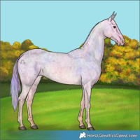 Horse Color:Nacre Watercolor Chocolate Palomino Ice Roan 