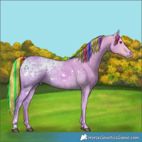 Horse Color:Painted Watercolor White Spotted Palomino Ice Dun 