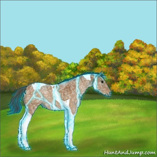 Horse Color:Thunderstruck Buckskin Ice Roan Tobiano 