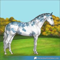 Horse Color:Watercolor White Spotted Liver Chestnut Ice Splash Frame 