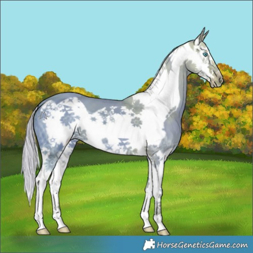 Horse Color:Watercolor Liver Chestnut Ice Splash Frame 
