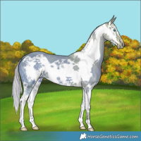 Horse Color:Watercolor Liver Chestnut Ice Splash Frame 