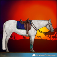 Horse Color:White Spotted Silver Smoky Grullo Roan 