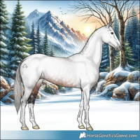 Horse Color:Gray White Spotted Liver Chestnut Tobiano 