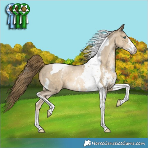 Horse Color:Smoky Black Pearl Sabino Tobiano 