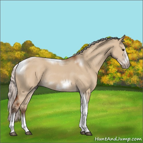 Horse Color:Silver Bay Dun Sabino Tobiano Frame Rabicano 
