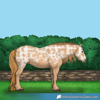 Horse Color:Chestnut Ice 