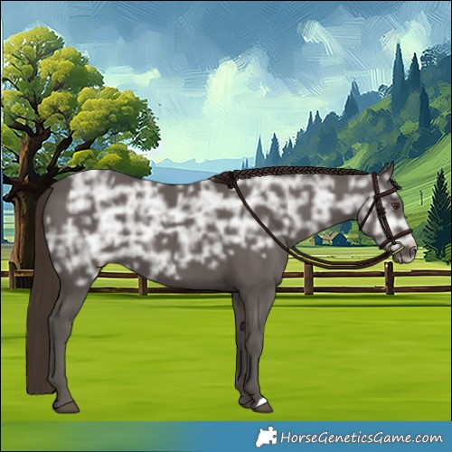 Horse Color:Liver Chestnut Ice 
