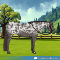 Horse Color:Liver Chestnut Ice