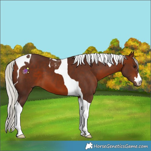 Horse Color:Silver Bay Tobiano 