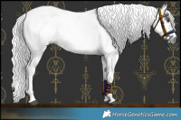 Horse Color:Gray Liver Chestnut  and Gray Chestnut 