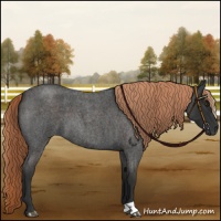 Horse Color:Liver Red Roan