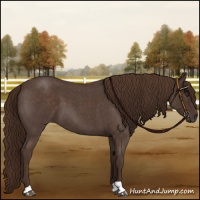 Horse Color:Liver Red Roan 