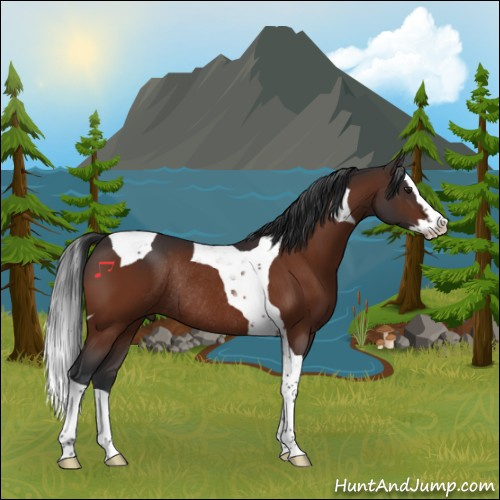 Horse Color:Brown Splash Tobiano Rabicano 