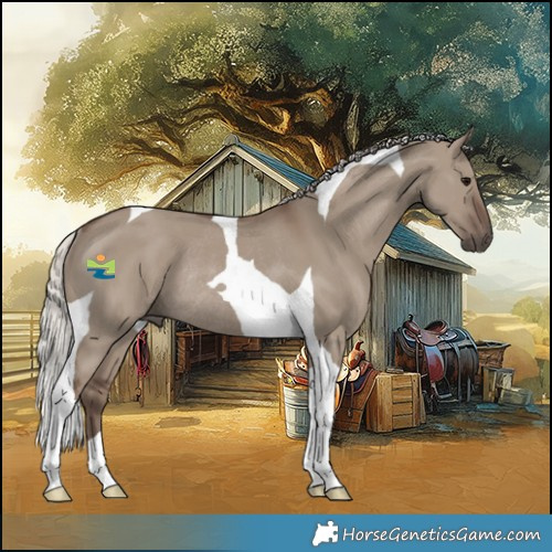 Horse Color:Silver Grullo Tobiano Rabicano 