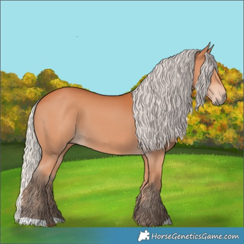 Horse Color:Silver Bay 