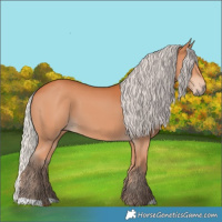 Horse Color:Silver Bay 