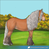 Horse Color:Silver Bay 