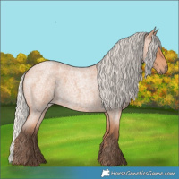 Horse Color:Silver Bay Roan 