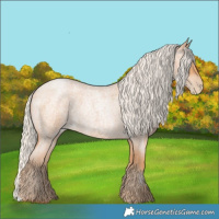 Horse Color:Silver Bay Roan Pearl