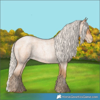 Horse Color:Silver Bay Roan Pearl 