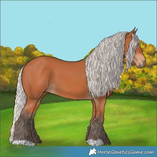 Horse Color:Silver Bay