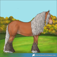 Horse Color:Silver Bay 