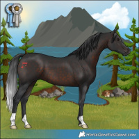 Horse Color:Brown 