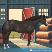 Horse Color:Liver Chestnut 